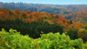 Autumn