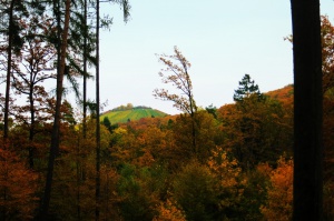 Autumn