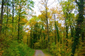 Autumn