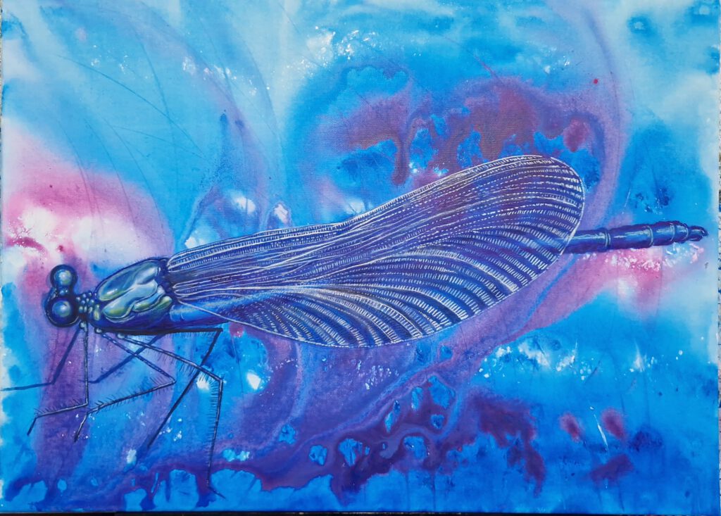 Libelle, Wasserjungfer