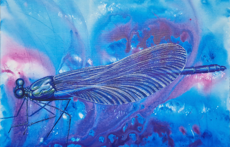 Libelle, Wasserjungfer